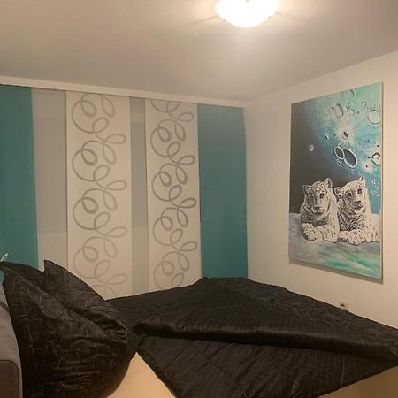 Schilcherland-Apartment シュタインツ エクステリア 写真